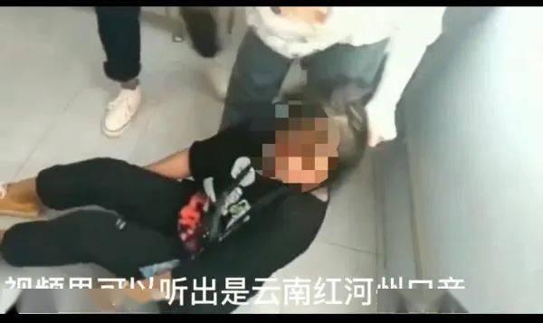 国产女厕所视频观看,独特设计与文化内涵