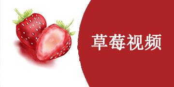 国产莓草莓视频,甜蜜滋味，探寻莓莓背后的故事